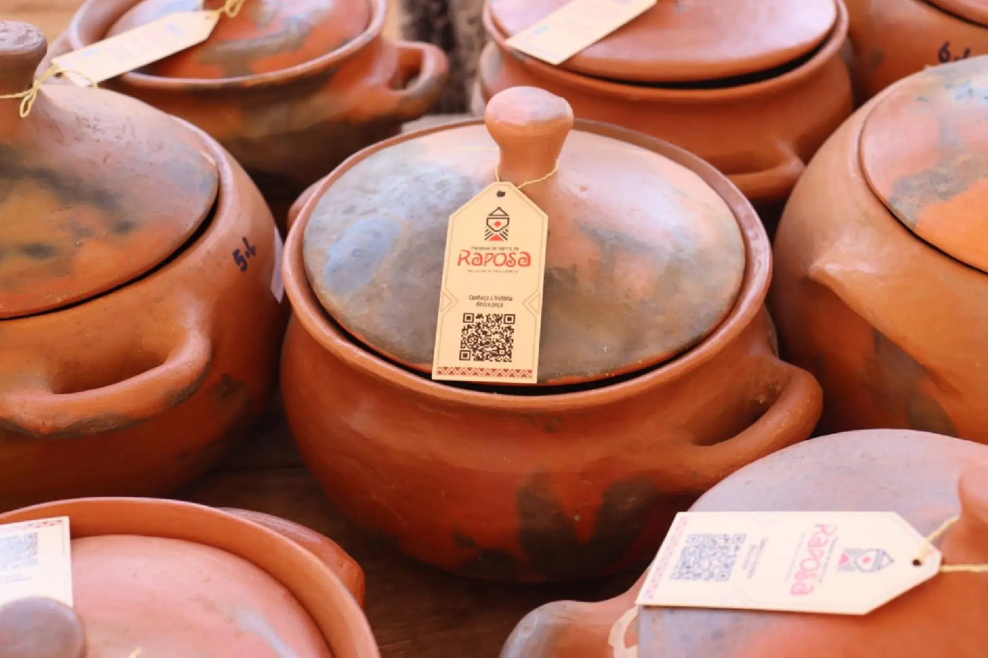 Indicação Geográfica impulsiona economia e preserva cultura indígena em Roraima