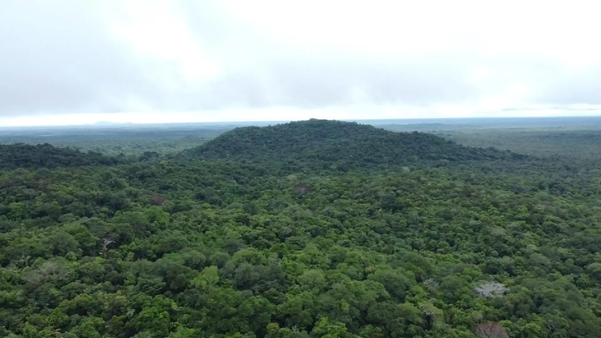 Junho Verde: leis da Assembleia impulsionam preservação e desenvolvimento sustentável em Roraima
