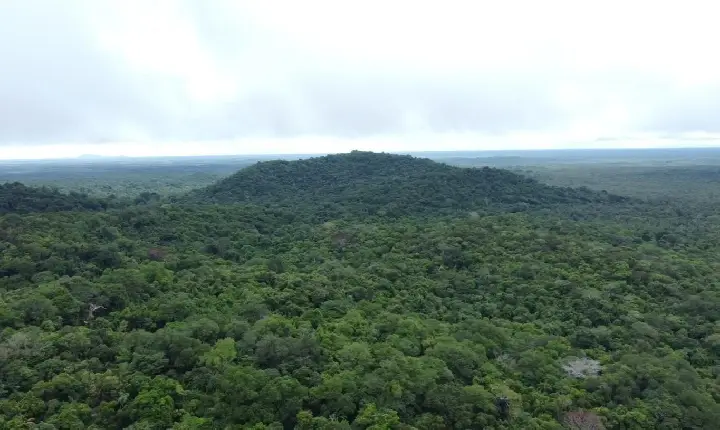 Junho Verde: leis da Assembleia impulsionam preservação e desenvolvimento sustentável em Roraima