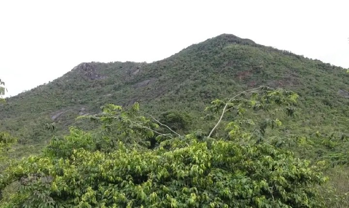 Justiça determina participação do Estado em processo de criação de reservas no Cantá