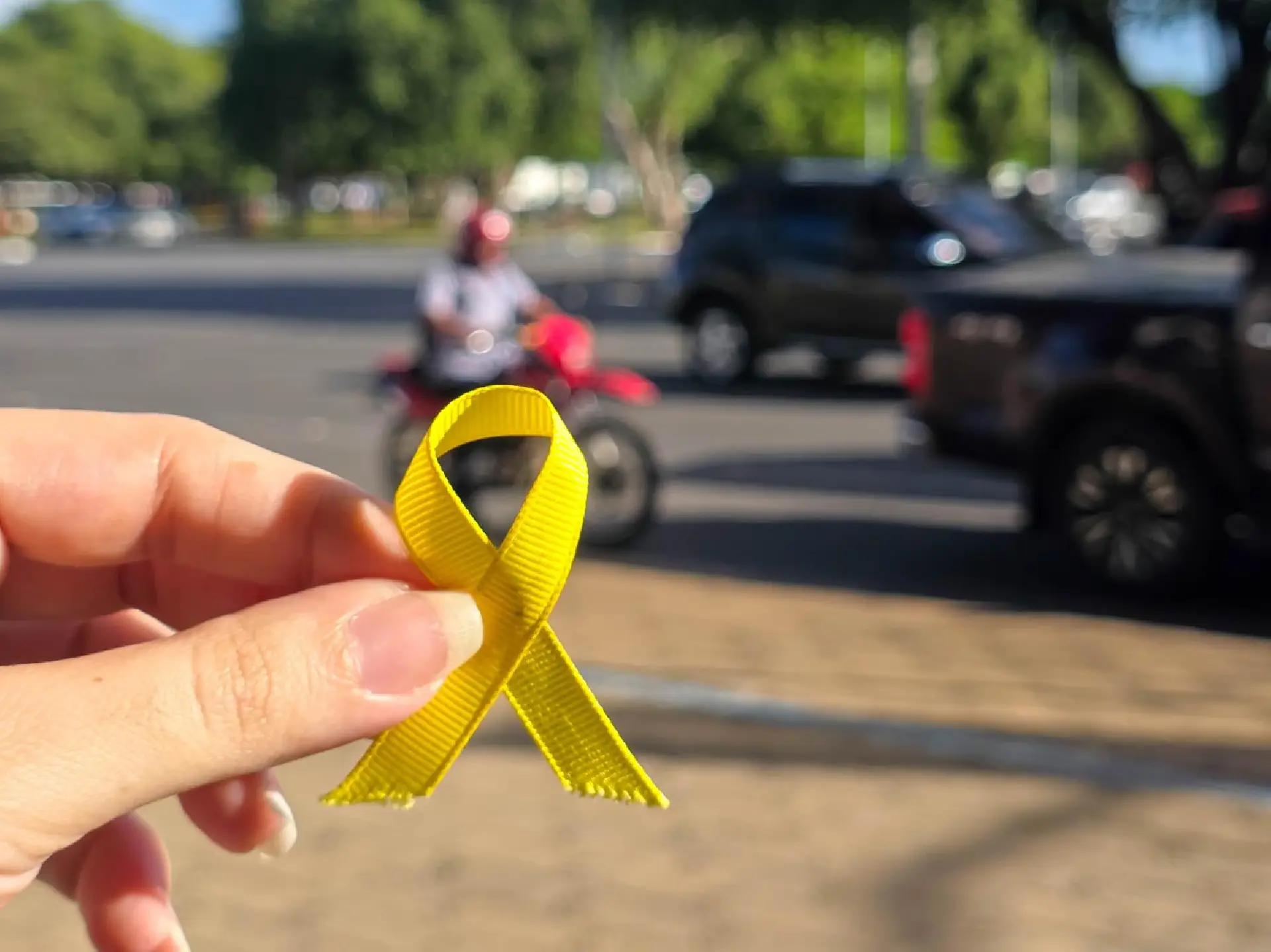 Maio Amarelo: ALERR chama atenção para cuidados e responsabilidade no trânsito