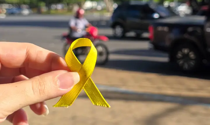 Maio Amarelo: ALERR chama atenção para cuidados e responsabilidade no trânsito