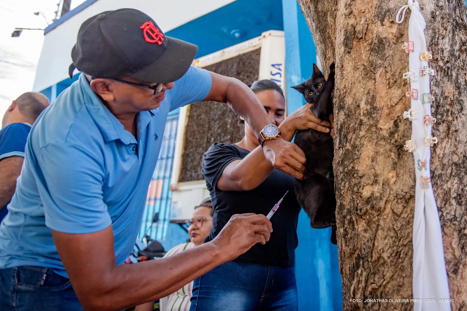 Mais de 20 mil animais são vacinados contra a raiva em Boa Vista