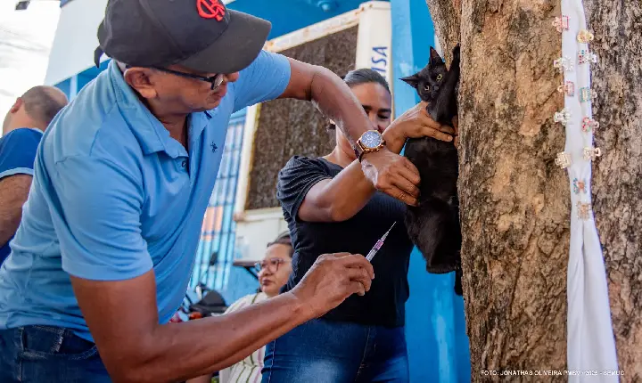 Mais de 20 mil animais são vacinados contra a raiva em Boa Vista