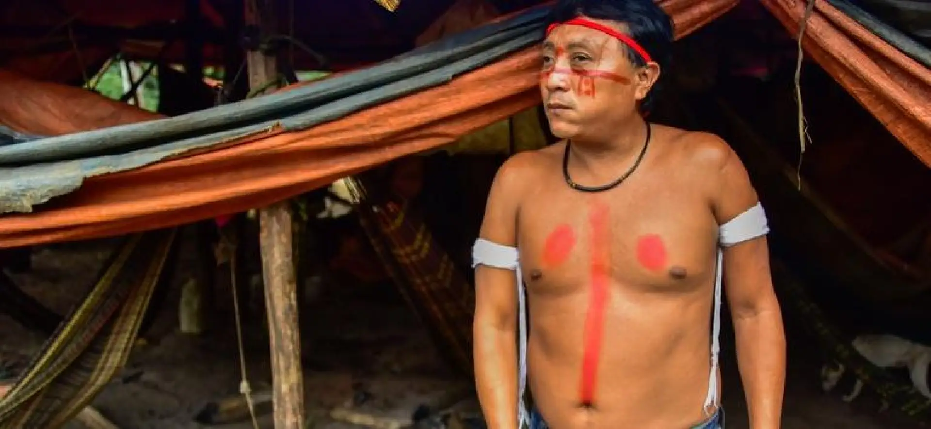 Mortes por desnutrição caem 75,7% na Terra Indígena Yanomami