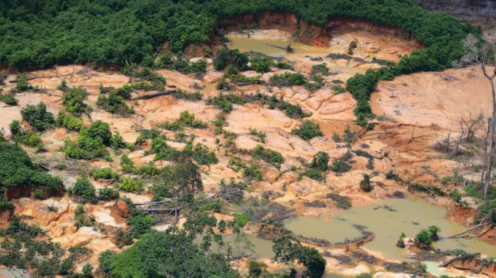 MPF cobra sistema nacional para monitorar contaminação por mercúrio na Amazônia