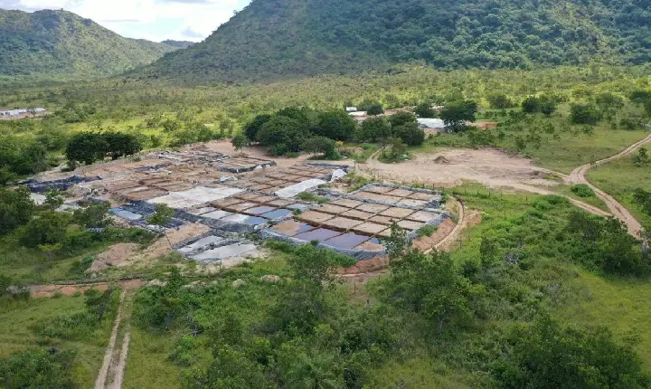 MPF declara emergência na Raposa Serra do Sol e pede ação contra garimpo transfronteiriço e contaminação por cianeto