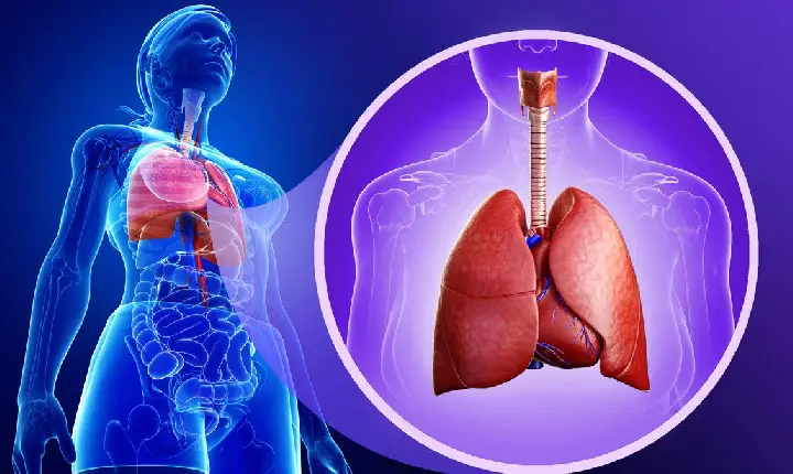 Os tumores com mais de 100 anos que são esperança para explicar por que câncer de intestino aumentou tanto entre jovens