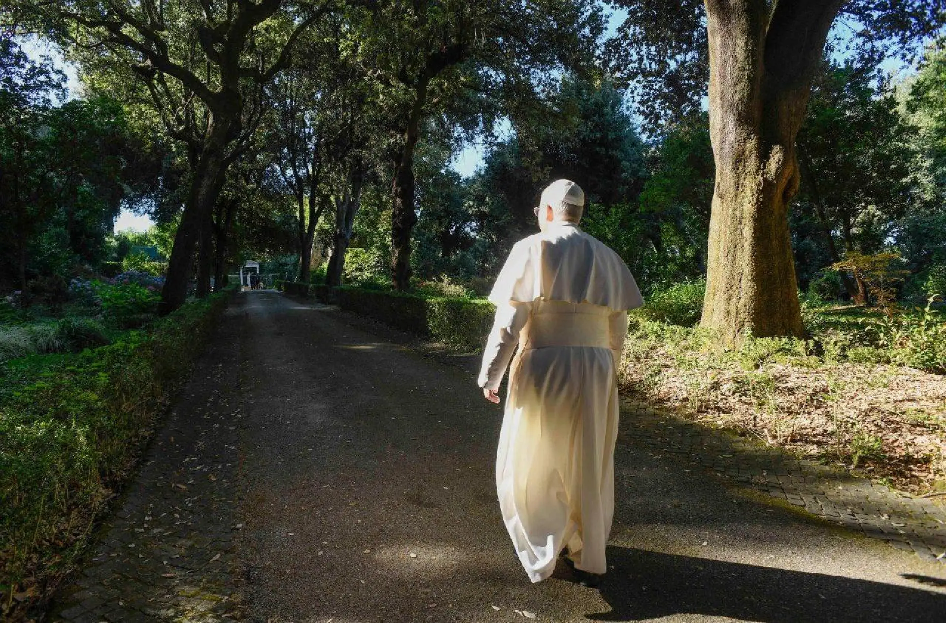Papa: a paz começa no coração e se estende ao cuidado da criação
