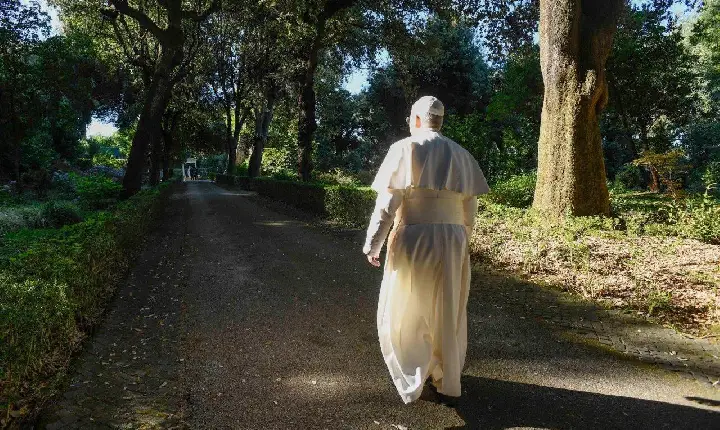 Papa: a paz começa no coração e se estende ao cuidado da criação
