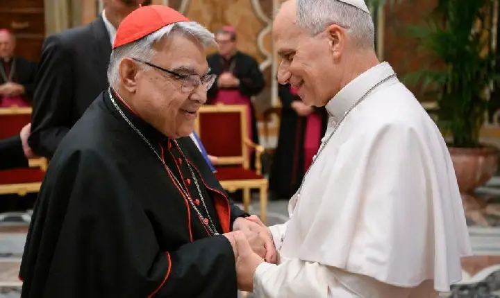 Papa Leão XIV destaca o papel dos santos na história da humanidade