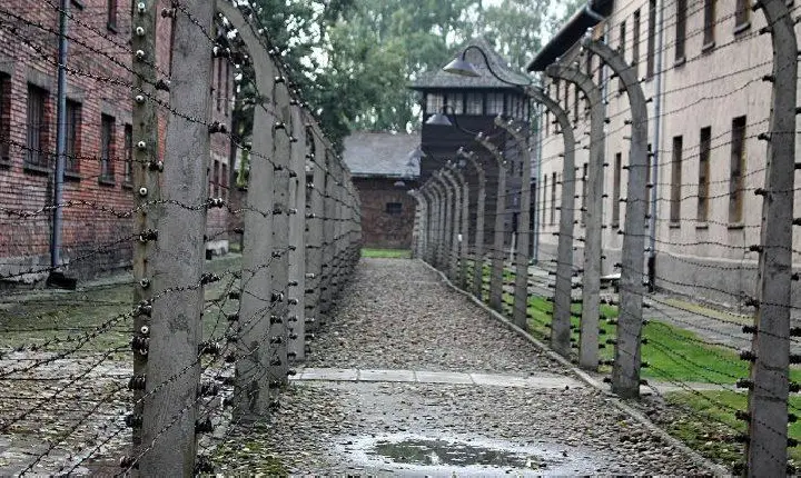 Papa recorda vítimas do Holocausto e pede mundo sem antissemitismo