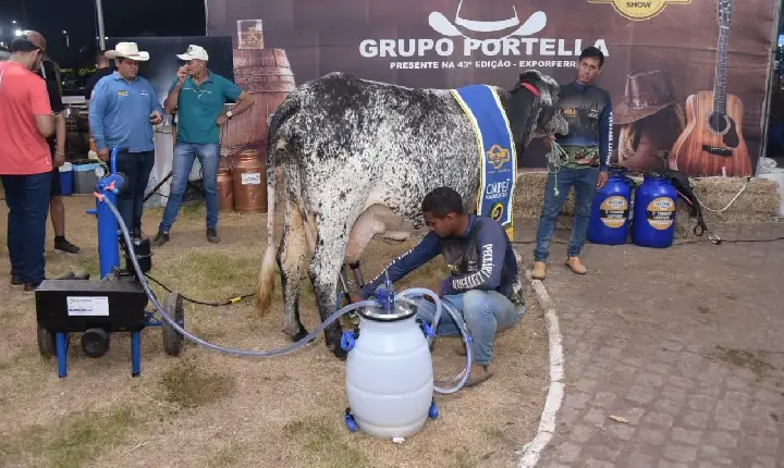 Pecuária em destaque: Roraima terá cinco dias de leilões, rodeio e competições no Dandãezinho