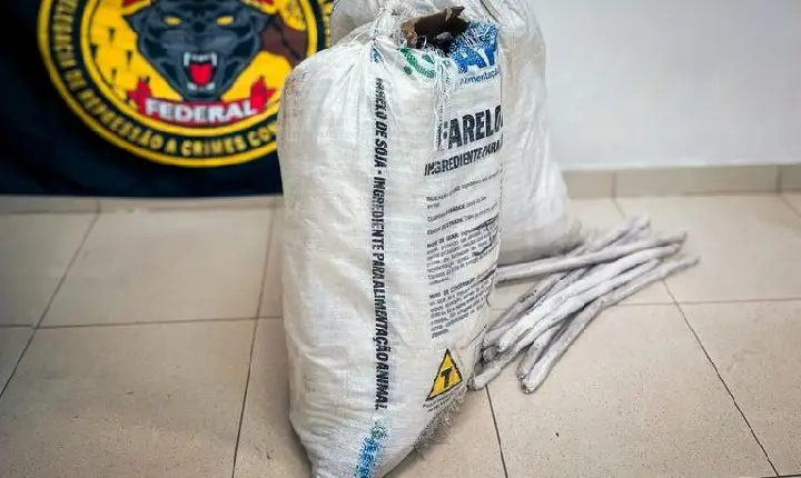 PF apreende 780 kg de produtos químicos e 200 kg de explosivos em imóvel de Boa Vista