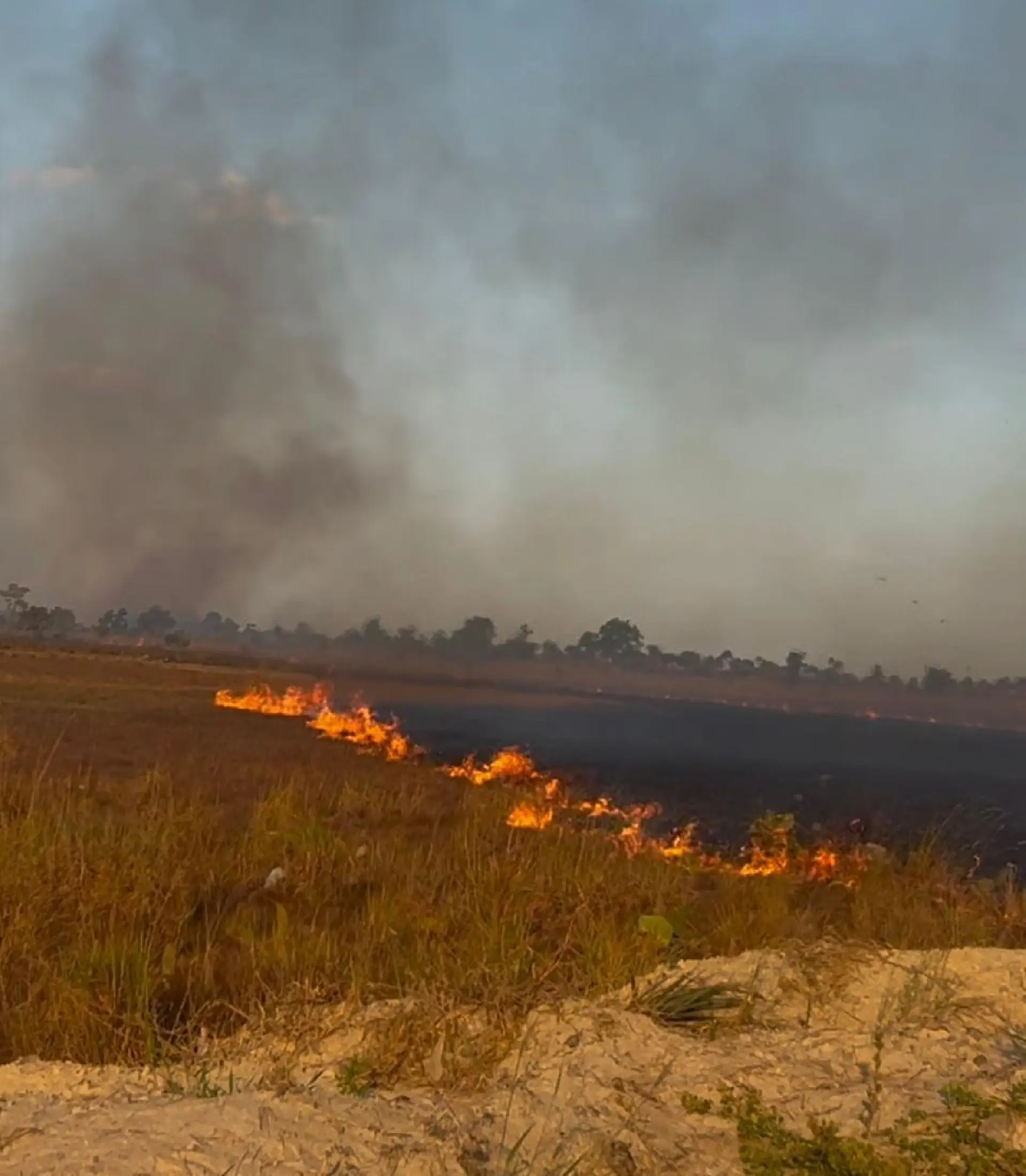 Polícia Civil investiga casos de incêndios criminosos durante período de estiagem em Roraima