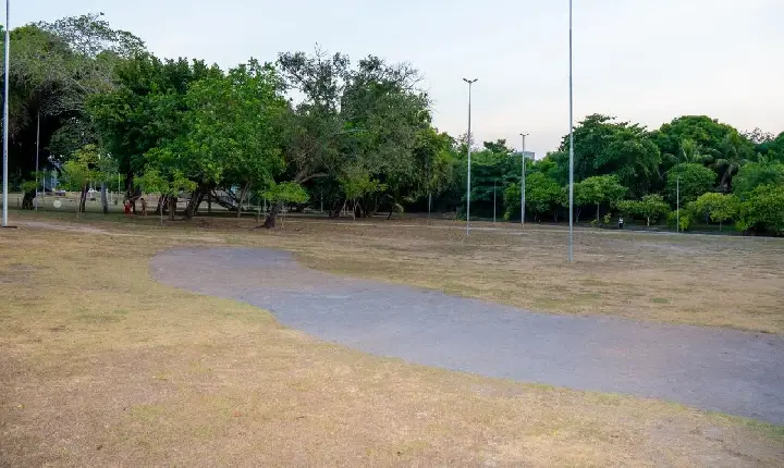 Polícia Civil realiza caminhada pelo Outubro Rosa nesta sexta-feira em Roraima