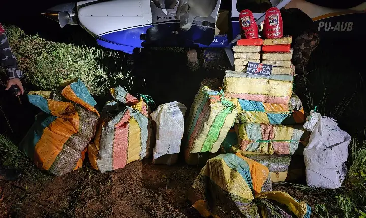 Polícia Militar de Roraima apreende 300 quilos de skunk no município de Mucajaí