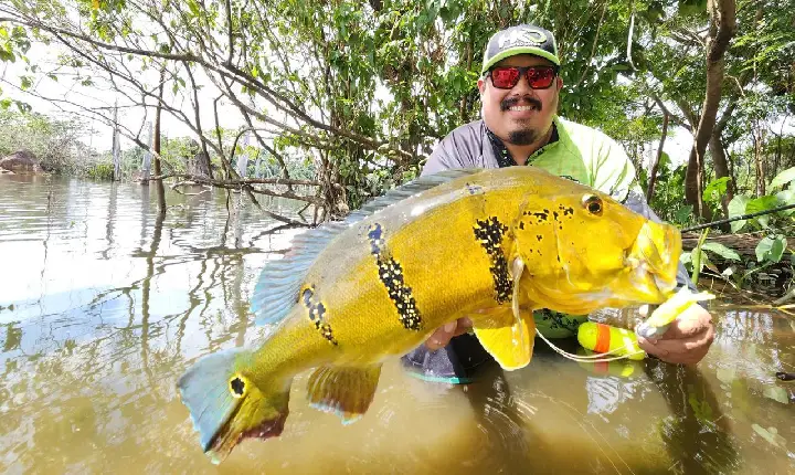 Potencial da pesca esportiva em Roraima será destaque durante a Fishing Show Brazil 2026
