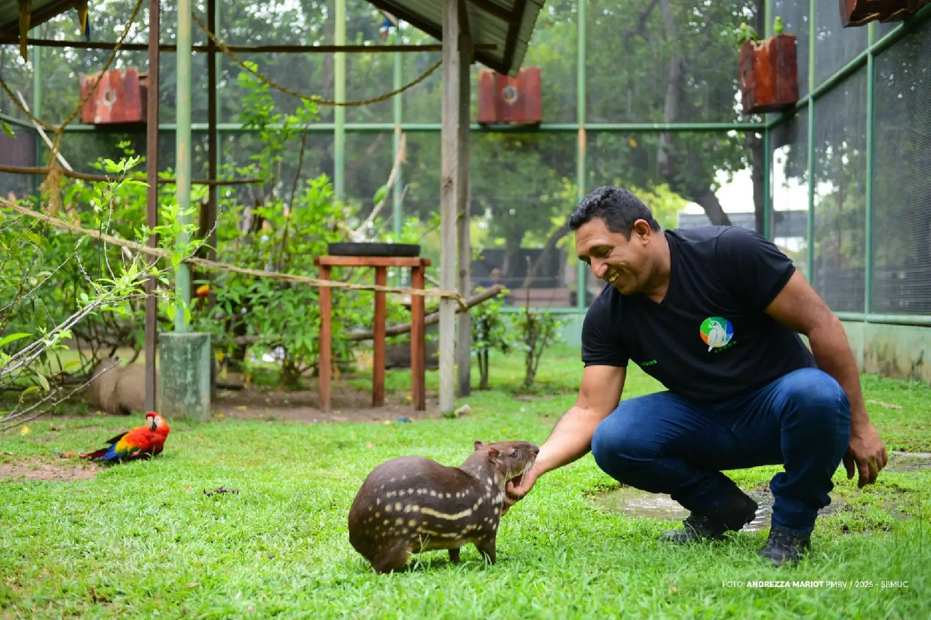 Prefeitura abre cadastro para protetores e entidades da causa animal em Boa Vista