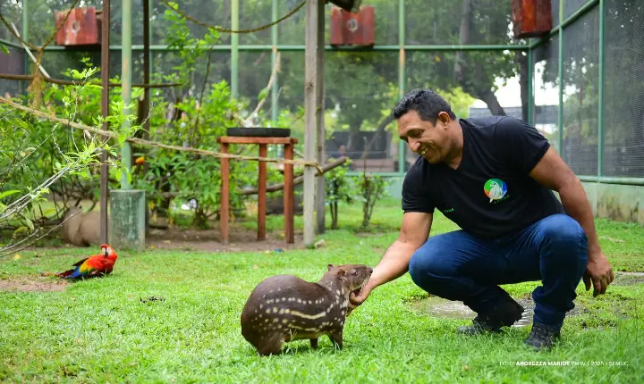 Prefeitura abre cadastro para protetores e entidades da causa animal em Boa Vista