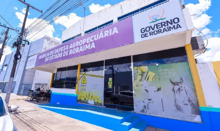 PRODUTORES RURAIS DE RORAIMA DEVEM ATUALIZAR CADASTRO DE REBANHOS ATÉ 31 DE OUTUBRO