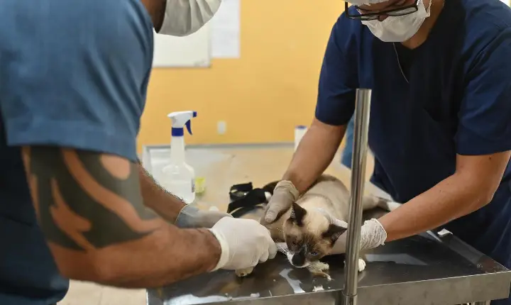 Programa Bem-Estar Animal da ALERR celebra primeiro ano com exposição fotográfica