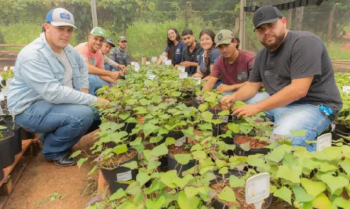 Pronatec tem mais de 700 vagas verdes para qualificação profissional na Região Norte