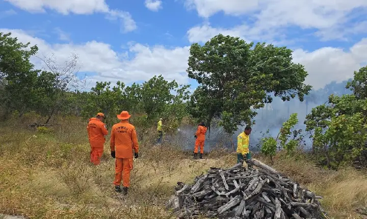 Prorrogado a autorização para o uso controlado e prescrito do fogo em Roraima