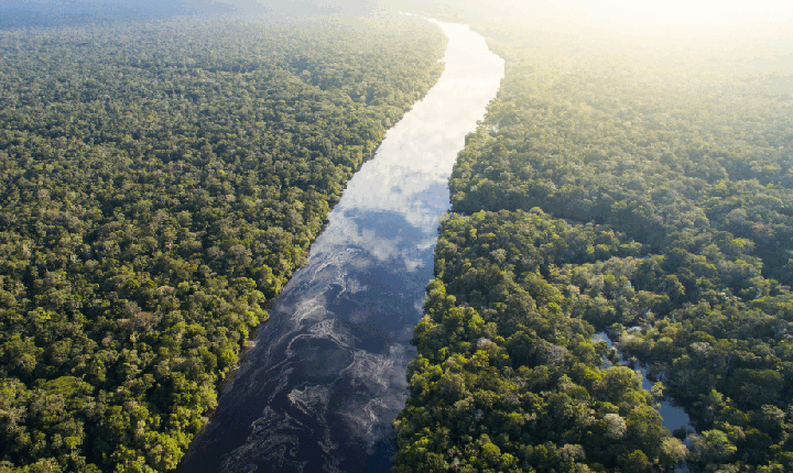 REPAM-Brasil e CNBB alertam para riscos do 