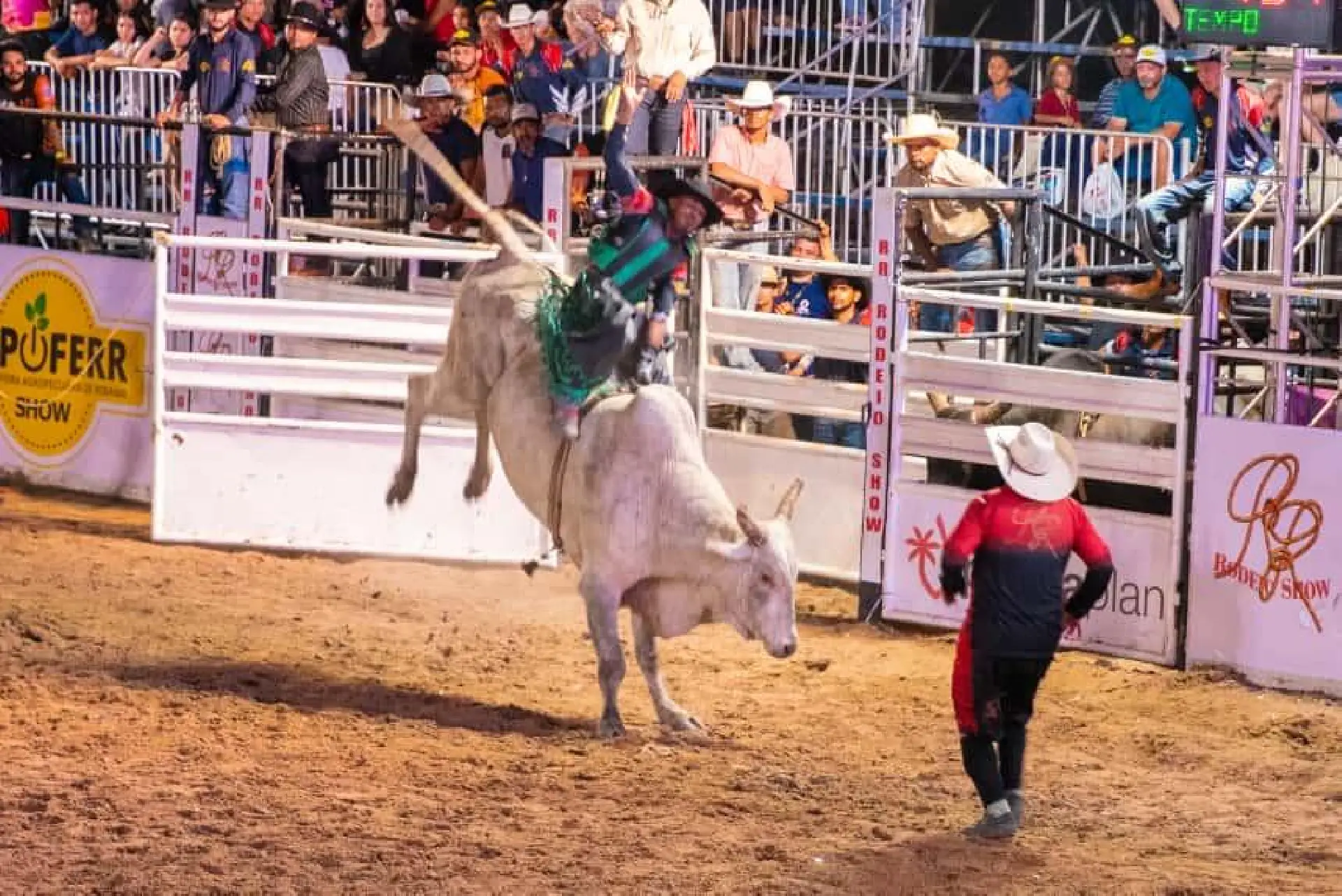 Rodeio começa com arquibancadas cheias e disputa de R$ 33 mil em prêmios