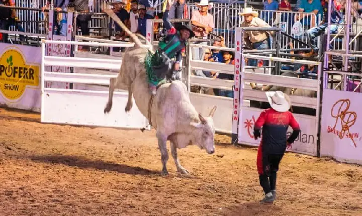 Rodeio começa com arquibancadas cheias e disputa de R$ 33 mil em prêmios