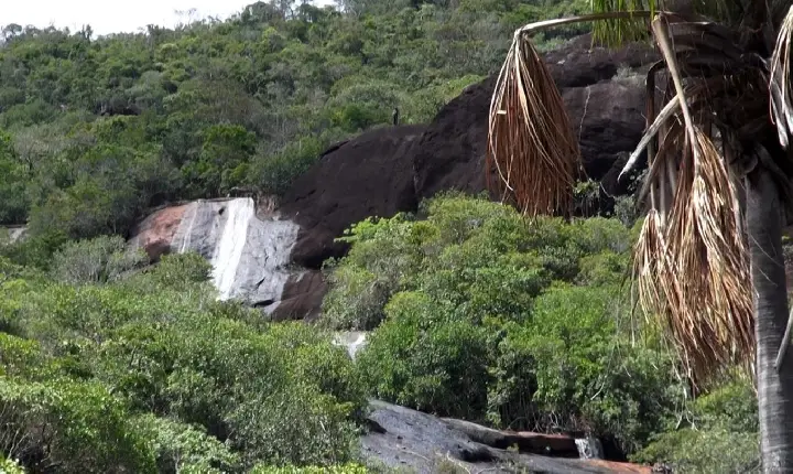 Roraima estabelece critérios para criação e ampliação de unidades de conservação