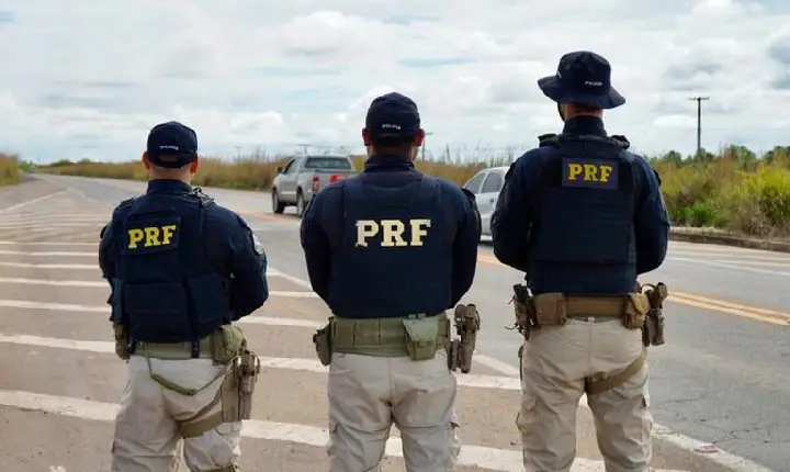 Roraima se destaca nacionalmente nas apreensões da PRF contra crimes ambientais