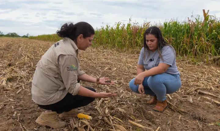 Seletivo do Iater oferece 80 vagas com salários de até R$ 7.961