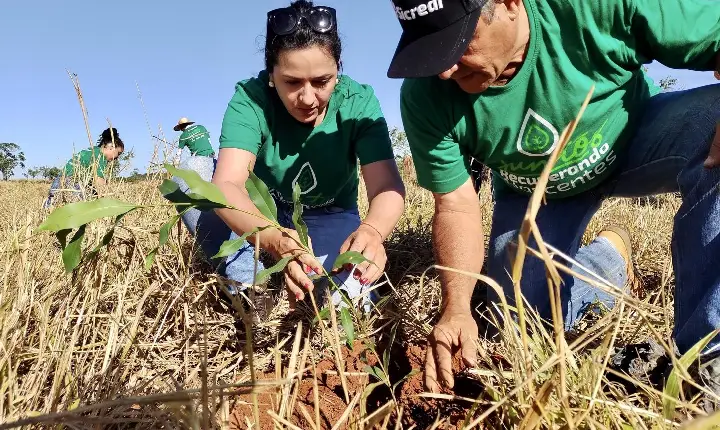 Sicredi leva à COP 30 iniciativas sustentáveis com foco no Norte e destaca ações que inspiram cooperativas de Roraima