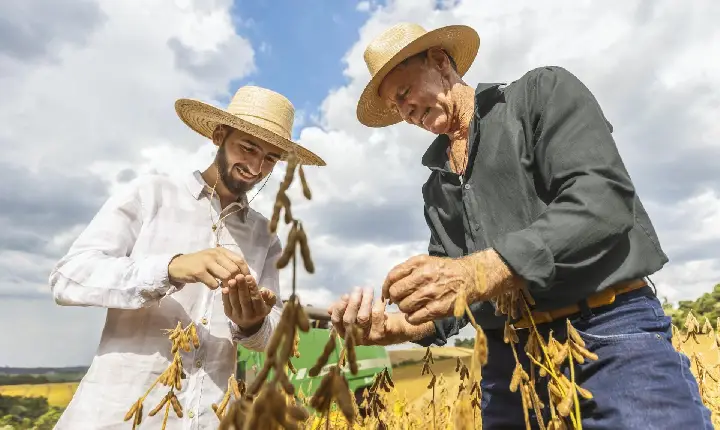 Sicredi libera R$ 68 bilhões pelo Plano Safra e produtores de Roraima também serão beneficiados