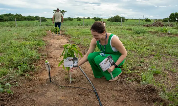 TJRR fica em 2º lugar entre Tribunais de Justiça no Índice de Desempenho de Sustentabilidade