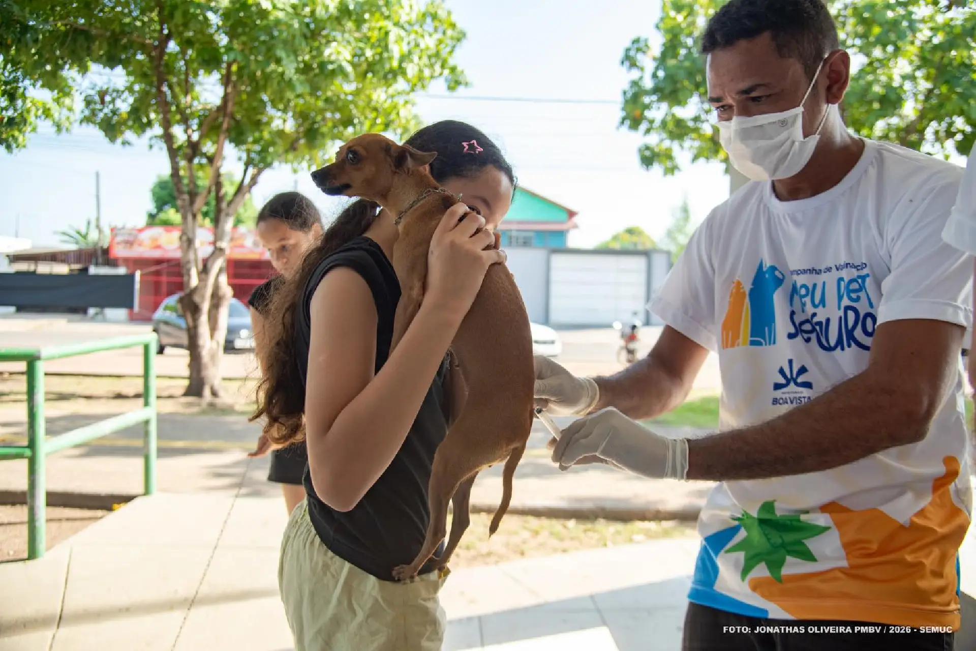 Vacinação antirrábica de cães e gatos começou em Boa Vista com novo sistema de cadastro