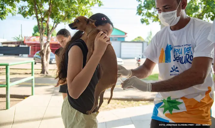 Vacinação antirrábica de cães e gatos começou em Boa Vista com novo sistema de cadastro