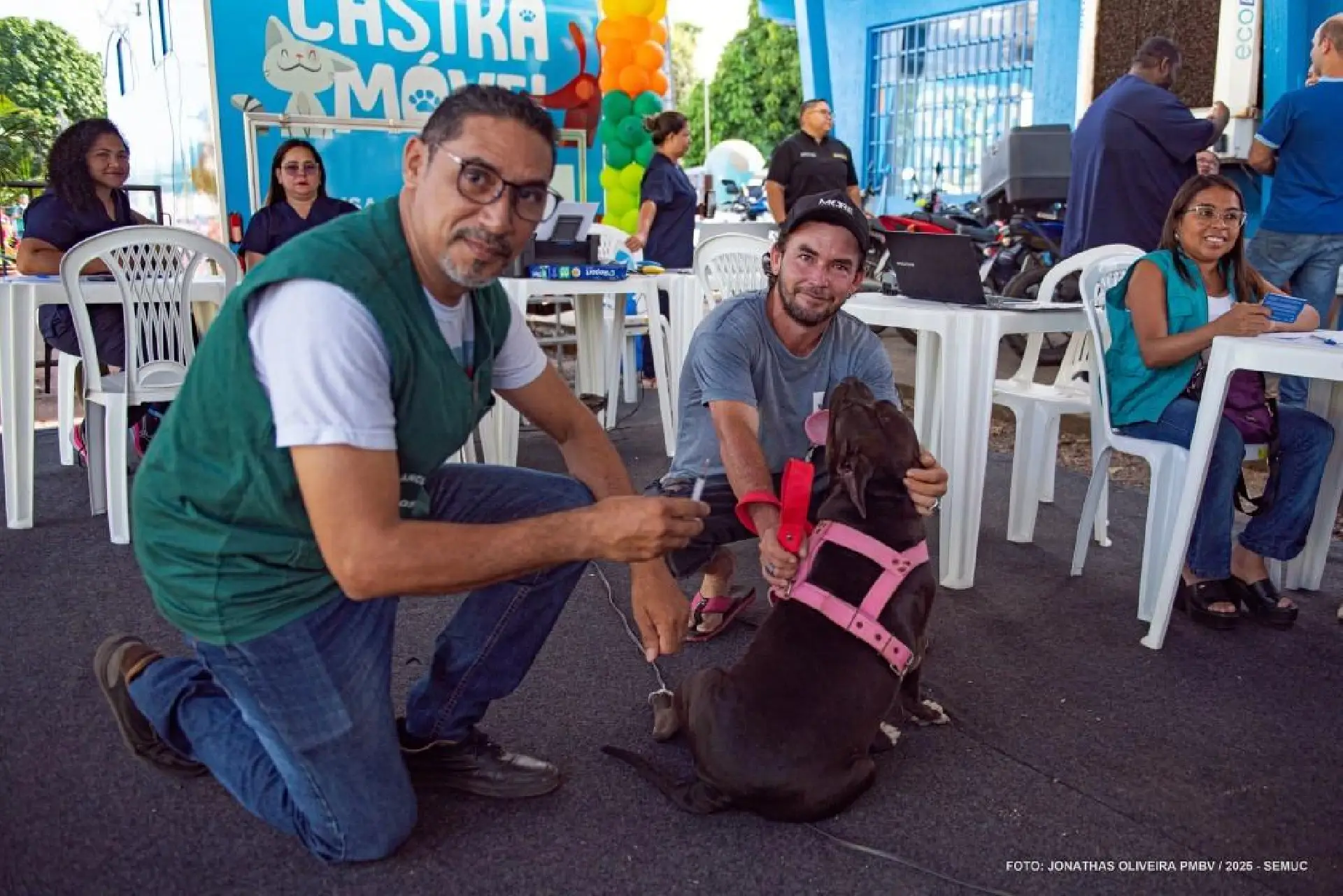 Vacinação antirrábica para cães e gatos começa neste sábado em Boa Vista