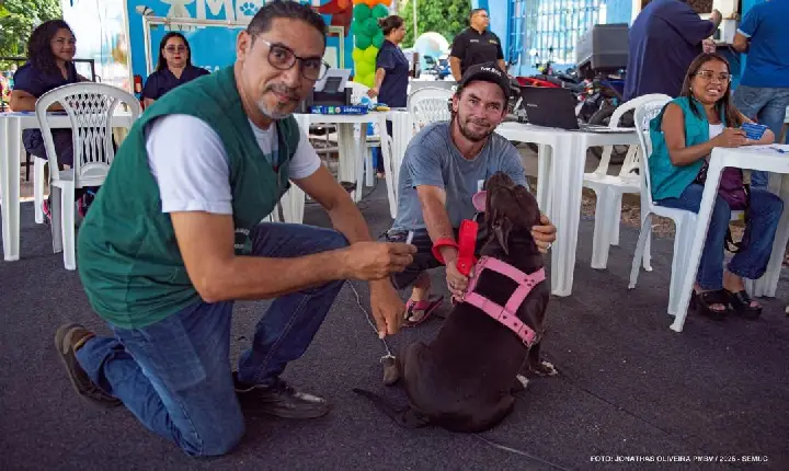 Vacinação antirrábica para cães e gatos começa neste sábado em Boa Vista