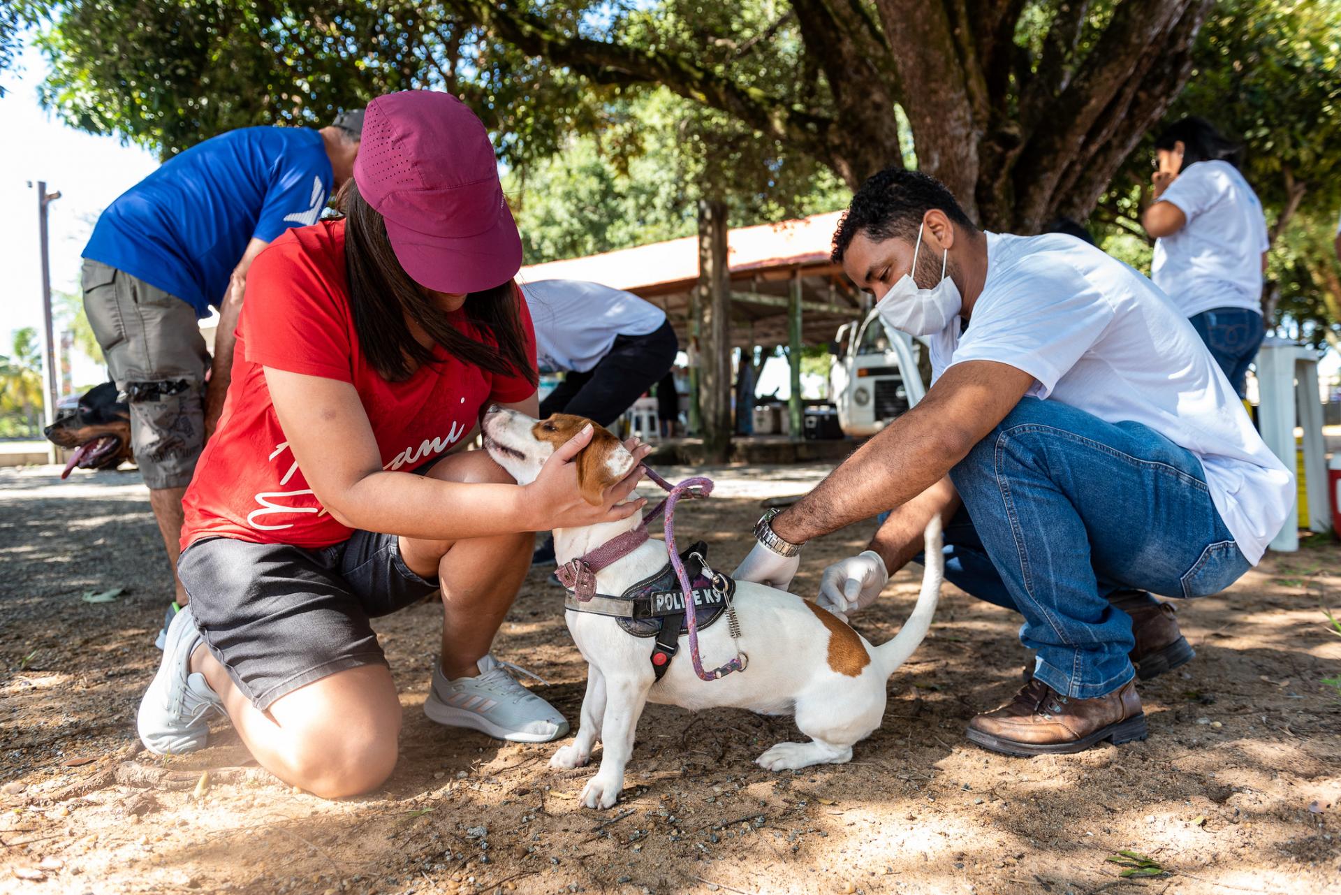 Campanha de vacinação de cães e gatos continua neste sábado, 13.