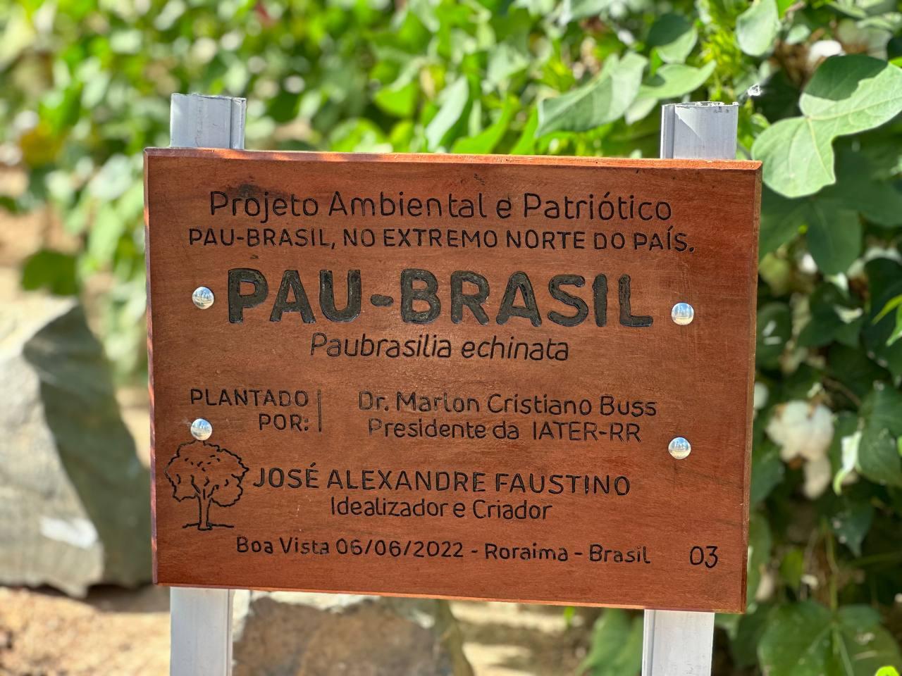 Iater participa do Projeto Ambiental e Patriótico: Pau-Brasil, no extremo Norte do país