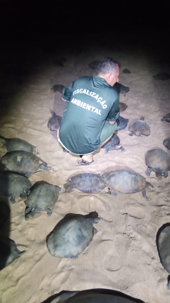 Ação de fiscalização da Femarh apreende peixes e tartarugas
