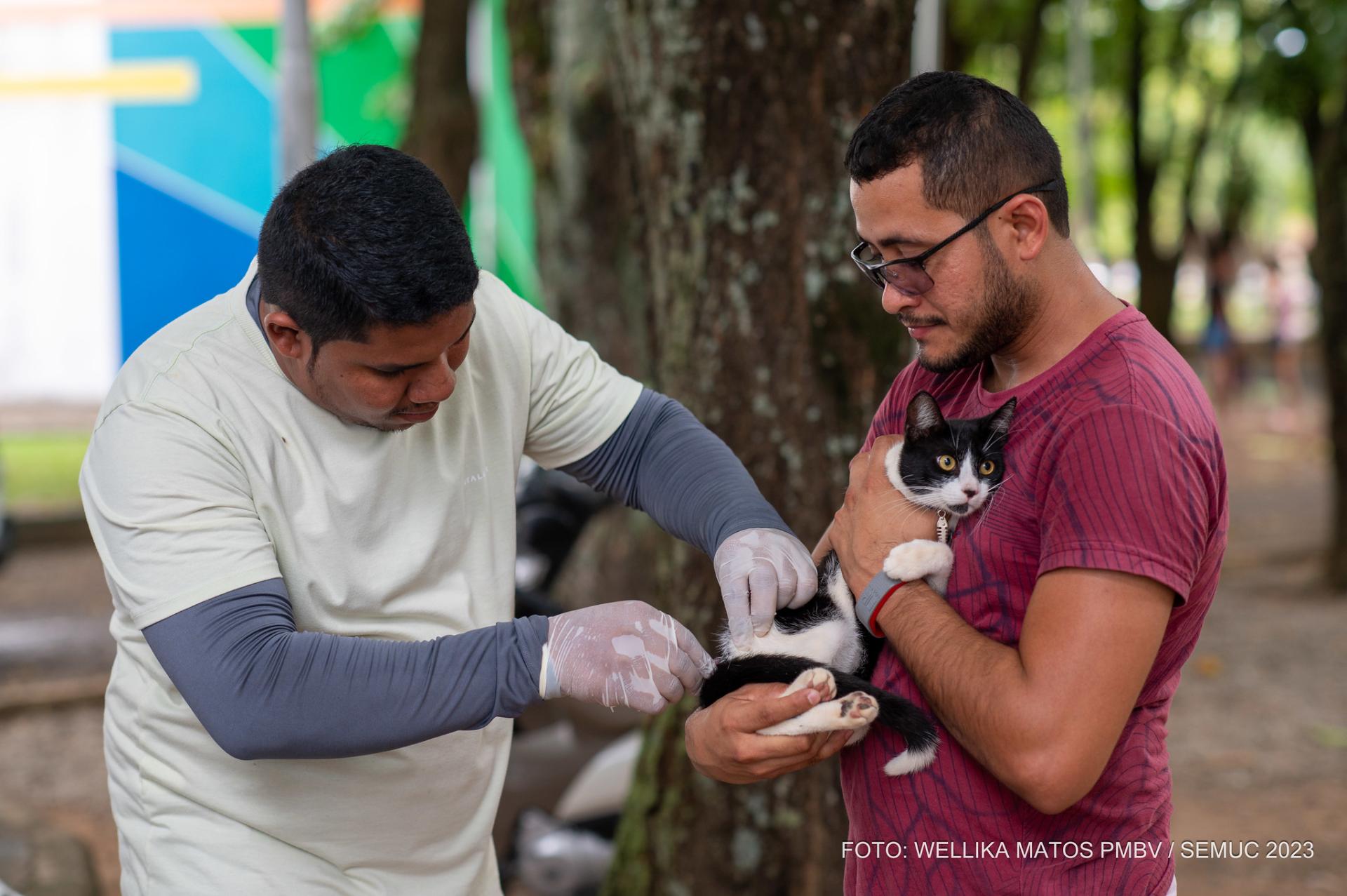 Campanha na Zona Rural de Boa Vista imunizou cerca de 3 mil animais