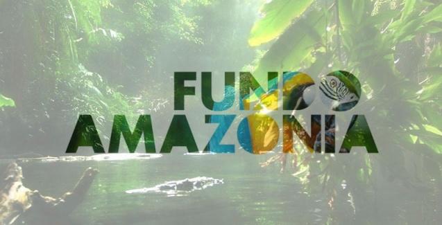 Noruega anuncia nova doação de R$ 250 milhões ao Fundo Amazônia