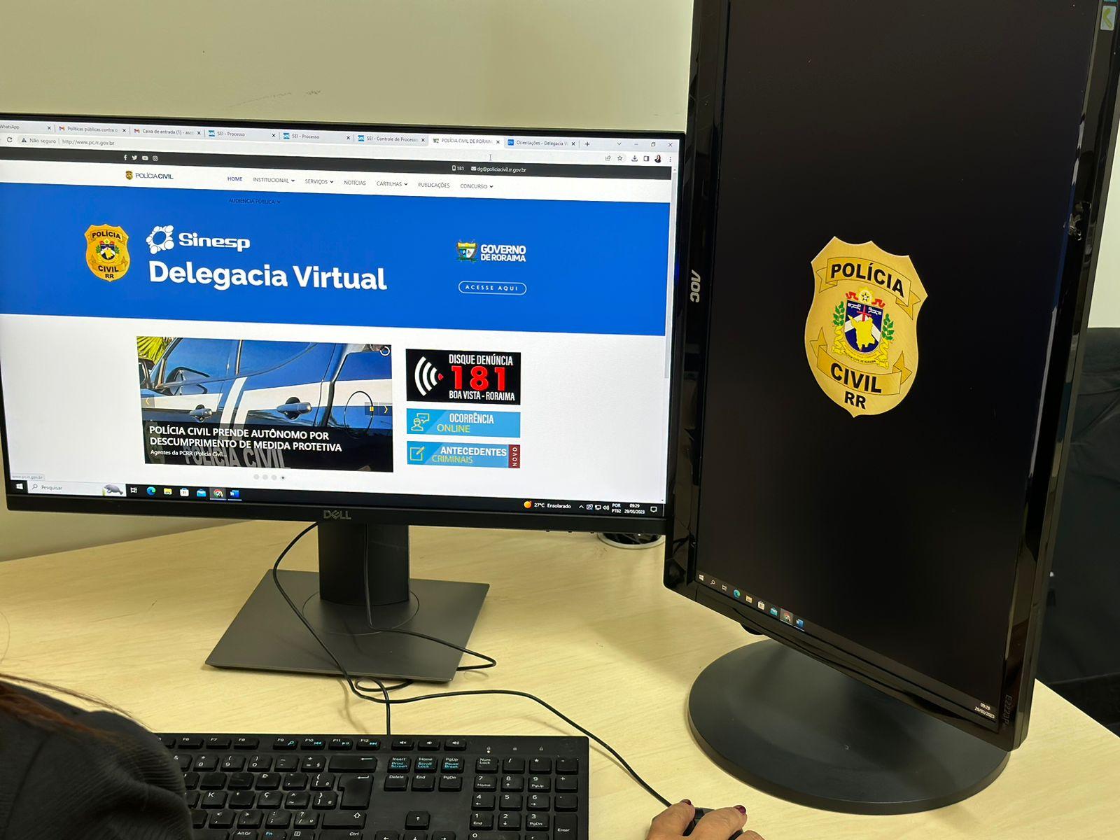 PELO SEGUNDO ANO Perda de Documentos lidera registros de boletins de ocorrência na Delegacia Virtual