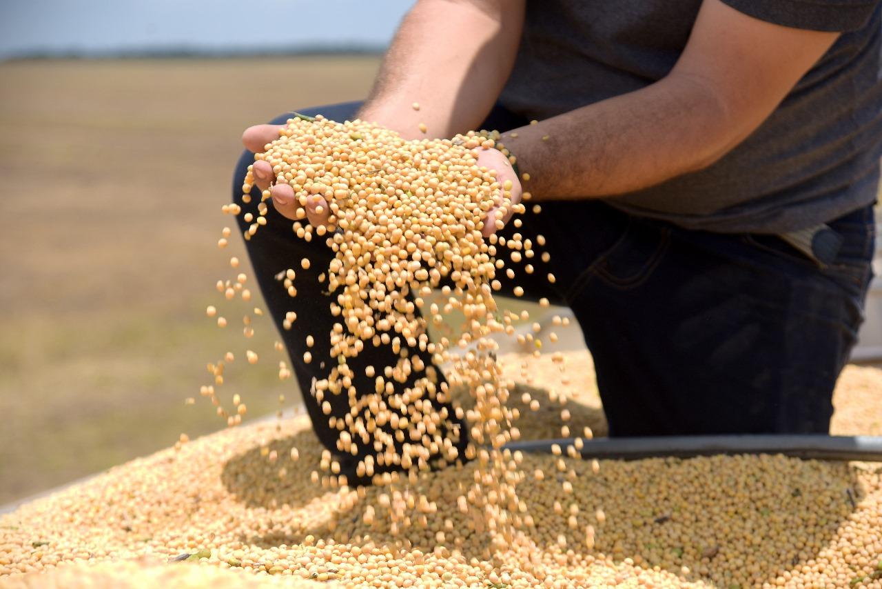 TRANSFORMAÇÃO ECONÔMICA Governo de Roraima fomenta produção rural do Estado com grandes investimentos