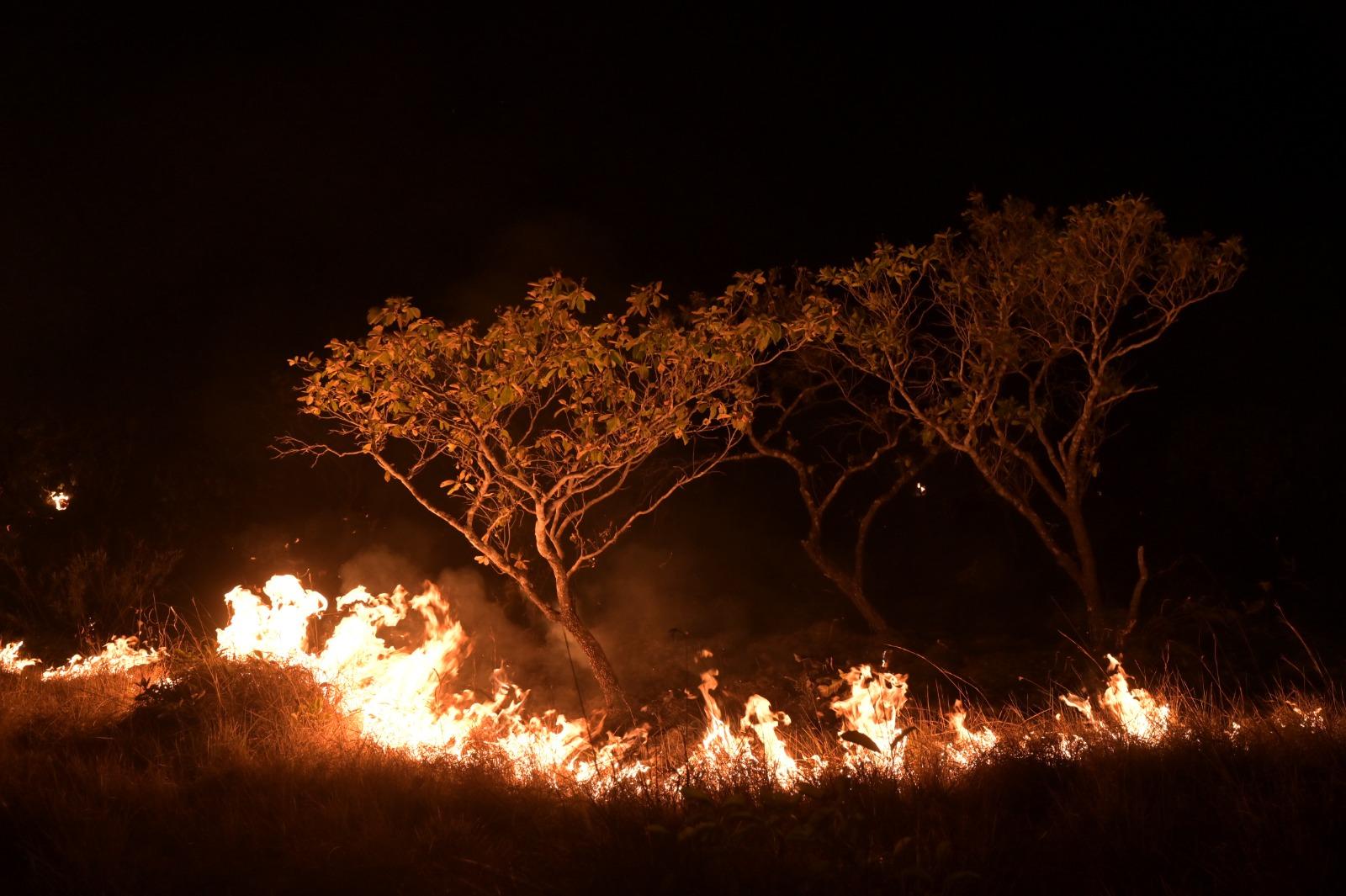 Caracaraí: MPRR cobra das autoridades mais fiscalização, estrutura e brigadistas para combater incêndios no município