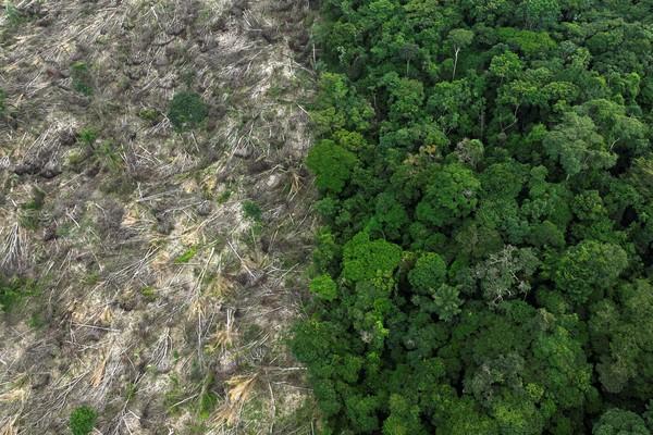 Estudo alerta para possibilidade de devastação sem volta da Amazônia